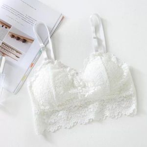 Sexy White Lace Bralette Tube Tops Summer Women Lace Bra Tanks Crop Tops